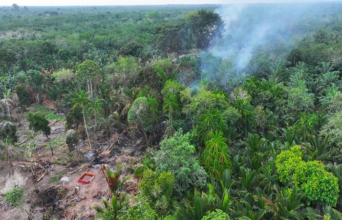 Diduga Keras Bakar Lahan di Bengkalis, Pensiunan 79 Tahun Langsung Ditahan Polres Bengkalis